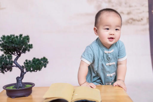 试管代怀生子合法吗六个月宝宝厌奶